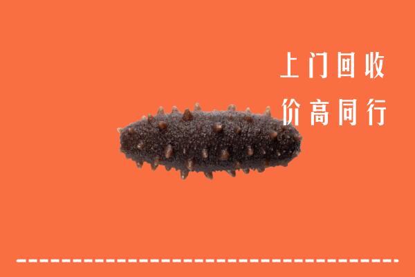 始兴县回收海参