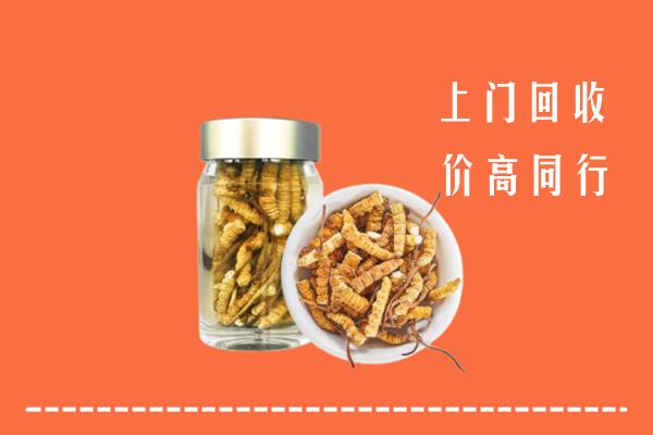 始兴县回收冬虫夏草