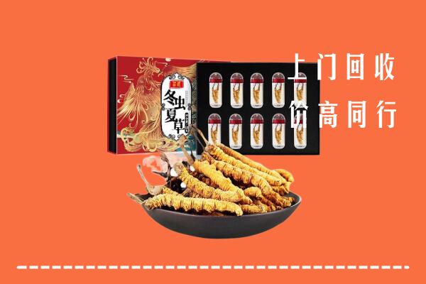 始兴县回收虫草